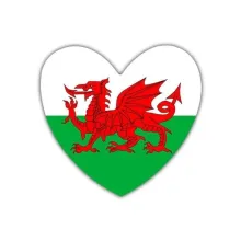 Leedswelshsociety's avatar